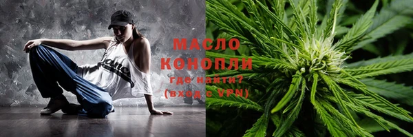 сатива Коряжма